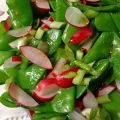 Salade van peultjes, radijsjes en lente-uitjes