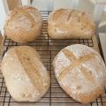 Workshop brood bakken: nog data vrij in juni en[...]
