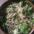 Salade boordevol groen