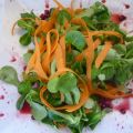 Jamie Oliver Salade van wortel, tuinkers en[...]