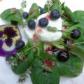 Salade met geitenkaas en blauwe bessen