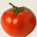 stokbrood met tomatenboter