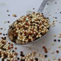 Quinoa het krachtvoer voor superfoodies