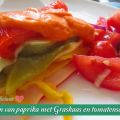 Tian van paprika met Graskaas en tomatensausje