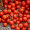 Tomatensoep met cr