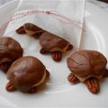 Schildpad koekjes