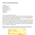 Citroen-mascarpone-cheesecake à la lempur