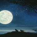 11-2 Volle Maan in Leeuw met Maansverduistering[...]