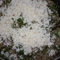 salade van rijst met feta