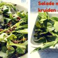 Gemengde salade met groene kruiden en linzen