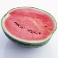 Summershake