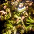 Geroosterde broccoli met veel knoflook en[...]