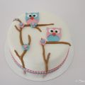 Babyshower Taart met Uiltjes