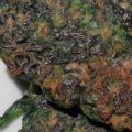Groene pannekoekjes met ‘geveganiseerde’[...]