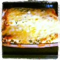Burrito met geplukte kip & tomatensaus