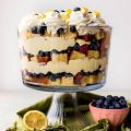 Citroen Blauwe Bessen Trifle
