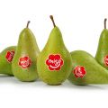 Win een verrassingsdoos van MIGOPEER