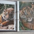 Handige diereninfo op drie manieren!