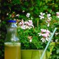home made lemonade : citroen & limoen