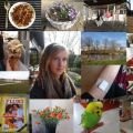 DIARY : week 10 & 11