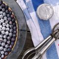 new york style blueberry cheesecake