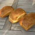 wit sesambrood
