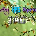 TAG: Spring has sprung tag