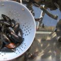 Mosselen met Oosterse curry en gemberconfijt