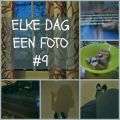 Elke dag een foto #9