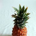 The Pineapple juice Solution ('zuurdesemers'[...]