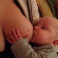 Kleine borstenman