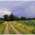 Over blootgatters, edele heren en andere[...]