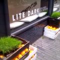 Veggie hotspot Amsterdam: Lite/Dark