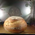 Melkbrood ( 100% melk )