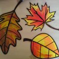 De herfst is in het land!