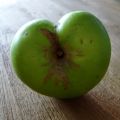 Appelmoes/-compote