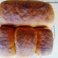 Volkoren Mais brood