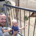 The zoo