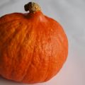 Pompoen