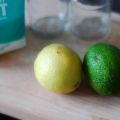 Citroenen inmaken in zout
