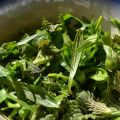 Spring salads - lente salades (GF-DF-SF-V)