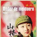 Een Chinese roman deze keer