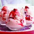 Cranberry Semifreddo met Kaneel