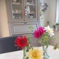 Dol op dahlia's