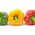 Paprika
