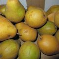 Stoofperen zonder suiker ----met zout, zo haal[...]