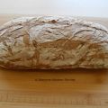 Robuust Landbrood ( desem ) met bier