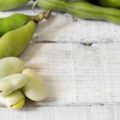 Tuinbonen a la Catalane