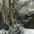 Weekje vasten