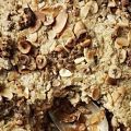 Apple crumble van Gordon Ramsay
